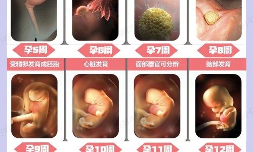 肉毒素注射说明书网 - 为你提供肉毒素针剂说明书、肉毒素注射治疗面肌痉挛视频
